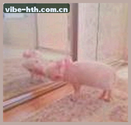 陈静